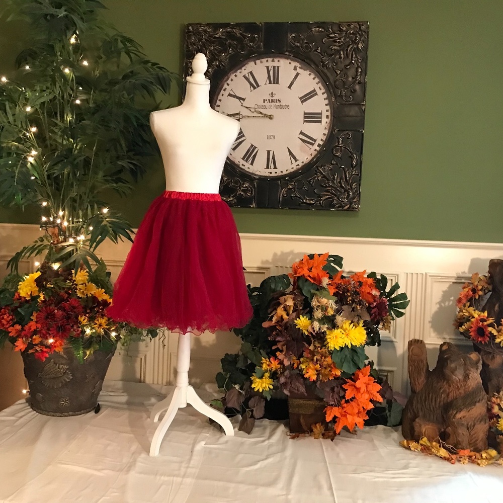 Short tulle skirt